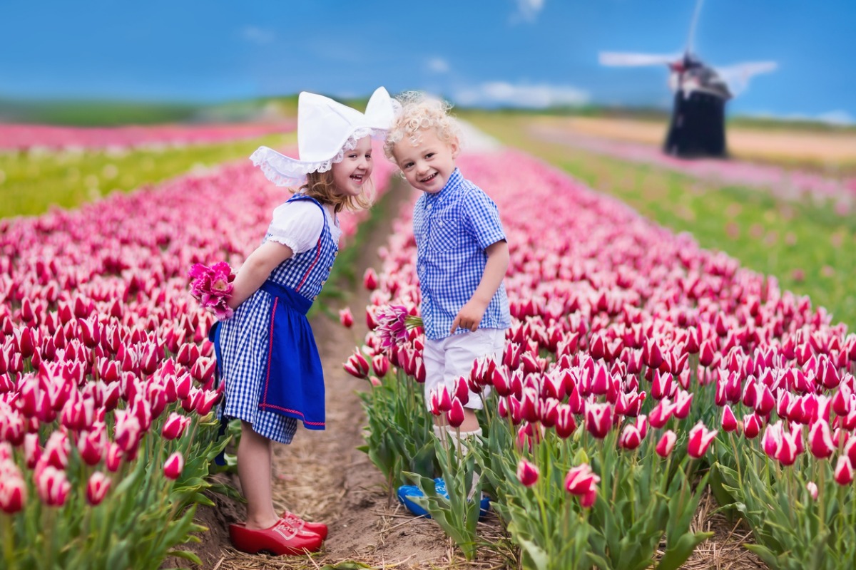 子供の幸福度が世界１位！教育先進国オランダが実践する教育制度と教育法